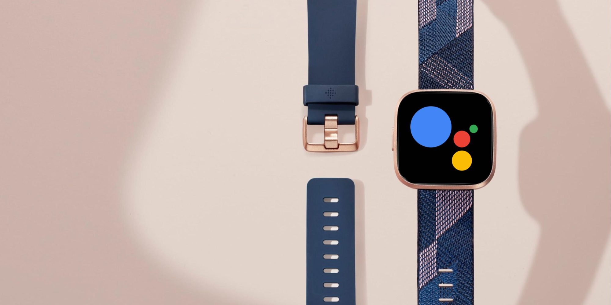 fitbit google assistant