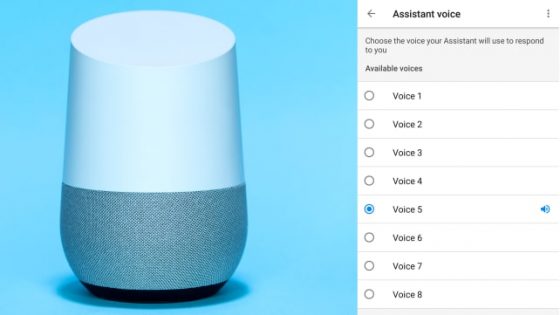 Como cambiar la voz de Google Home (de momento, en Estados Unidos)