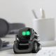Amazon trabaja en un robot con ruedas con Alexa