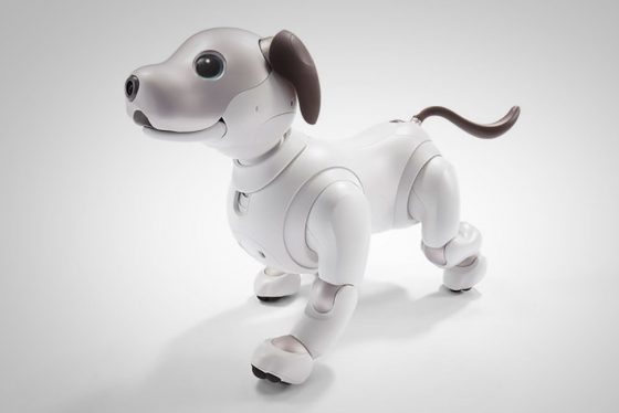 ¿Quieres una mascota? Sony empezará a vender Aibo en Septiembre
