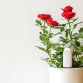 ¿Poco alcance de Mi Flora para usar en Home Assistant? Xiaomi Mi Flora Plant Sensor MQTT Client/Daemon es la solución