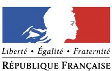 gobierno francés